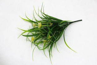 仿真花蝴蝶把花套裝 點(diǎn)亮客廳裝飾的創(chuàng)意壁掛藝術(shù)